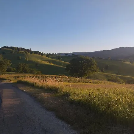 La Di Trisin *